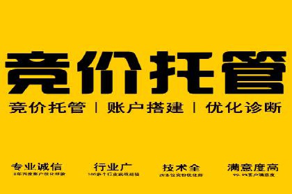 揭秘SEM推广竞价实战案例